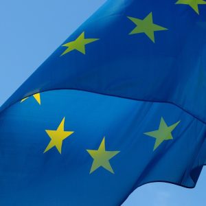 Section Euro intégration 2023
