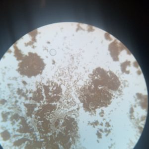 CjQKMFNuYXBjaGF0LzEzLjkwLjAuNTIgKGlQaG9uZTEyLDE7IGlPUyAxOC41OyBnemlwKSAC
